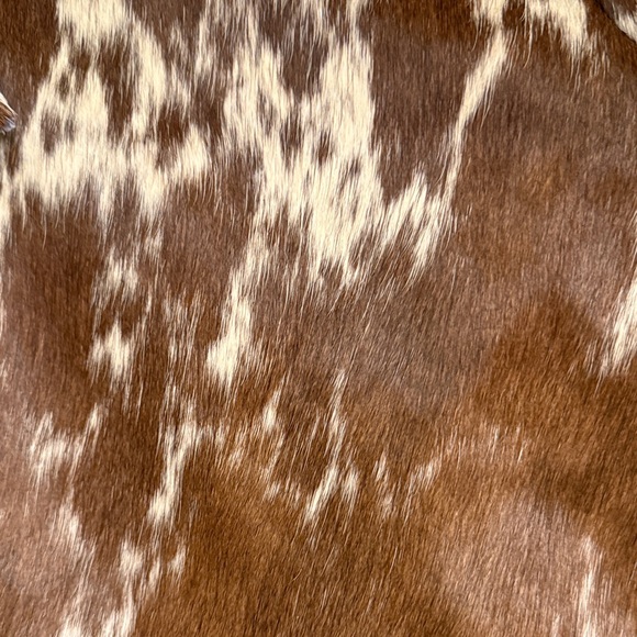 Nasty Gal Cow Hide leather Bomber Jacket - Picture 7 of 11